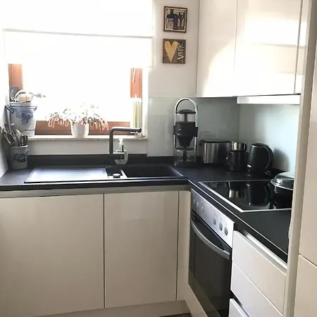 Vogt Kasel